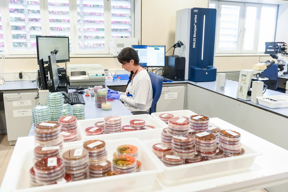 La tecnología MALDI-TOF permite identificar microorganismos en minutos.