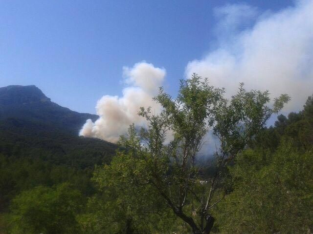 Waldbrand bei Puigpunyent