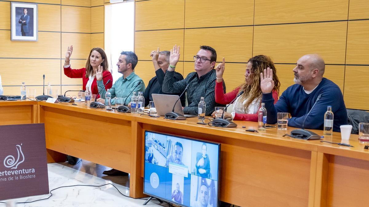 Imagen del Pleno del Cabildo de Fuerteventura.