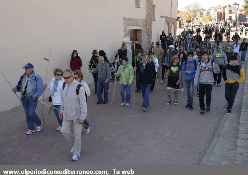 GALERÍA DE FOTOS - Romería Magdalena 2014 (3)