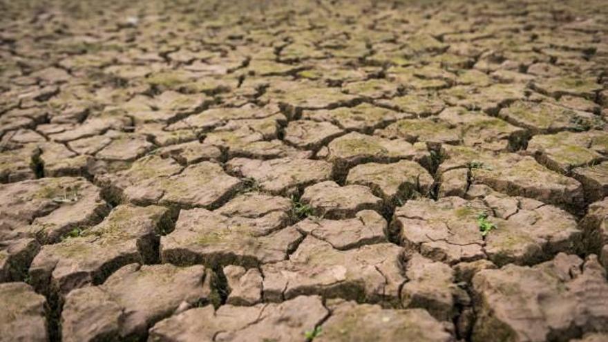 El Gobierno no descarta limitar el uso del agua desde 2018 si no llueve