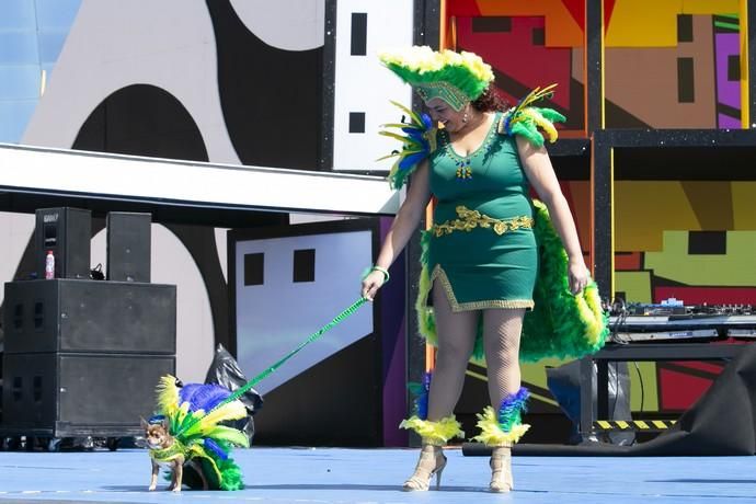 24.02.19. Las Palmas de Gran Canaria. Carnaval 2019. Concurso Carnaval Canino 2019. Francisco Javier Acosta Santana, presenta aNala, con la fantasía "Bailando entre tucanes". Foto Quique Curbelo