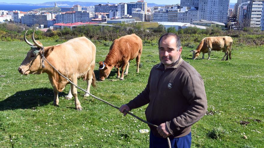 Luis Maceiras, Ángel Vázquez y sus animales