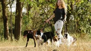 El Gobierno creará un sistema estatal de identificación de animales de compañía, para evitar su abandono
