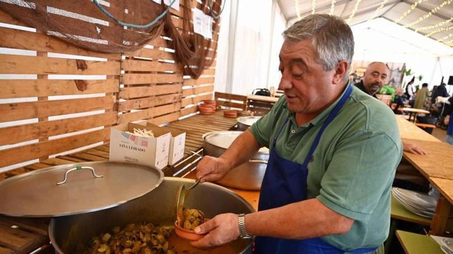 Campelo estrena este mes su flamante declaración la Festa da Ameixa de interés turístico