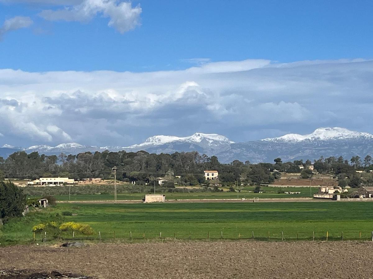 La Serra de Tramuntana nevada vista desde Sineu