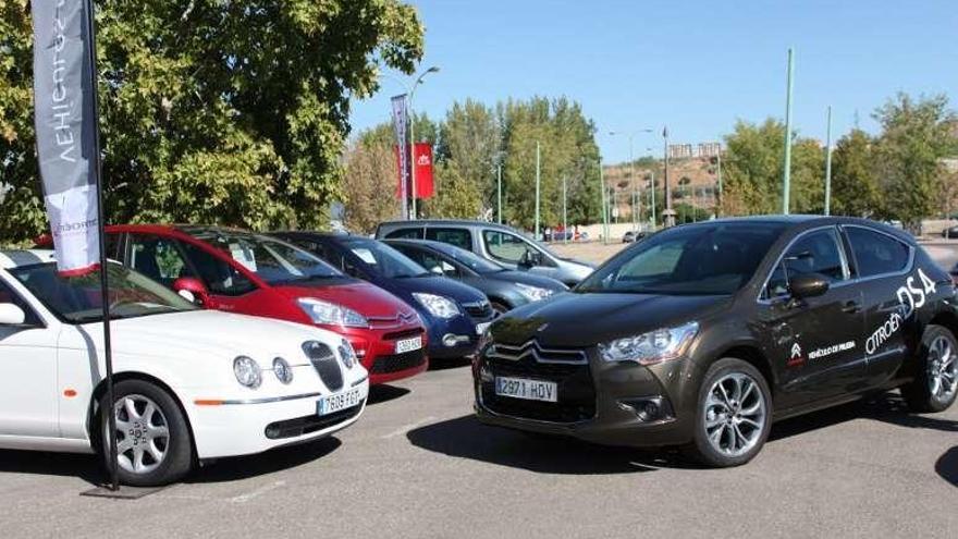 Exposición de coches usados.