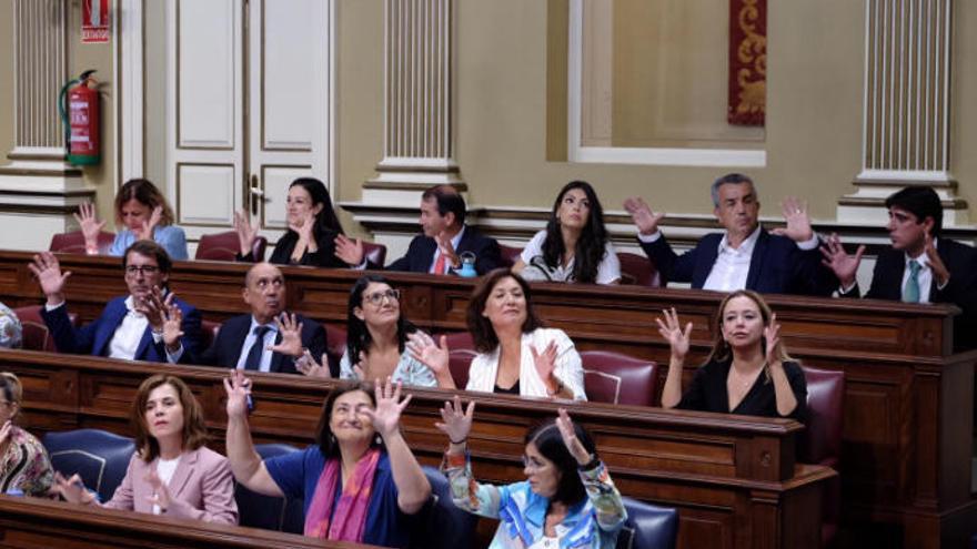 El Parlamento de Canarias se compromete a atender las demandas de las personas sordas y sus familias