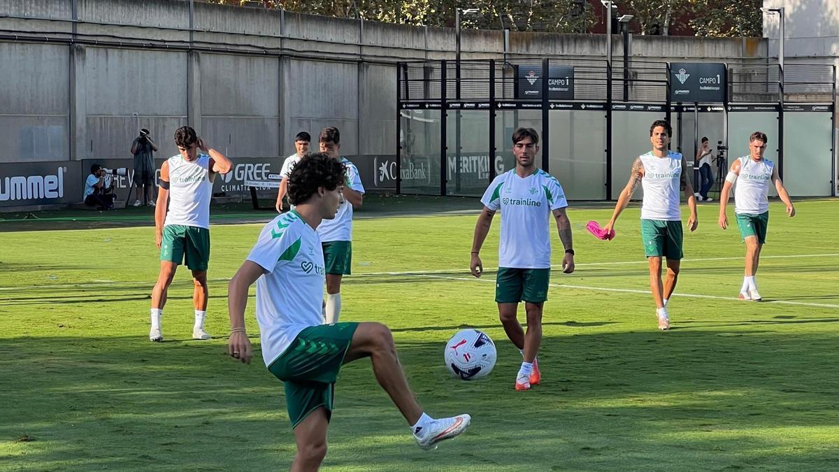 Entrenamiento del Betis este miércoles en la CD Luis del Sol