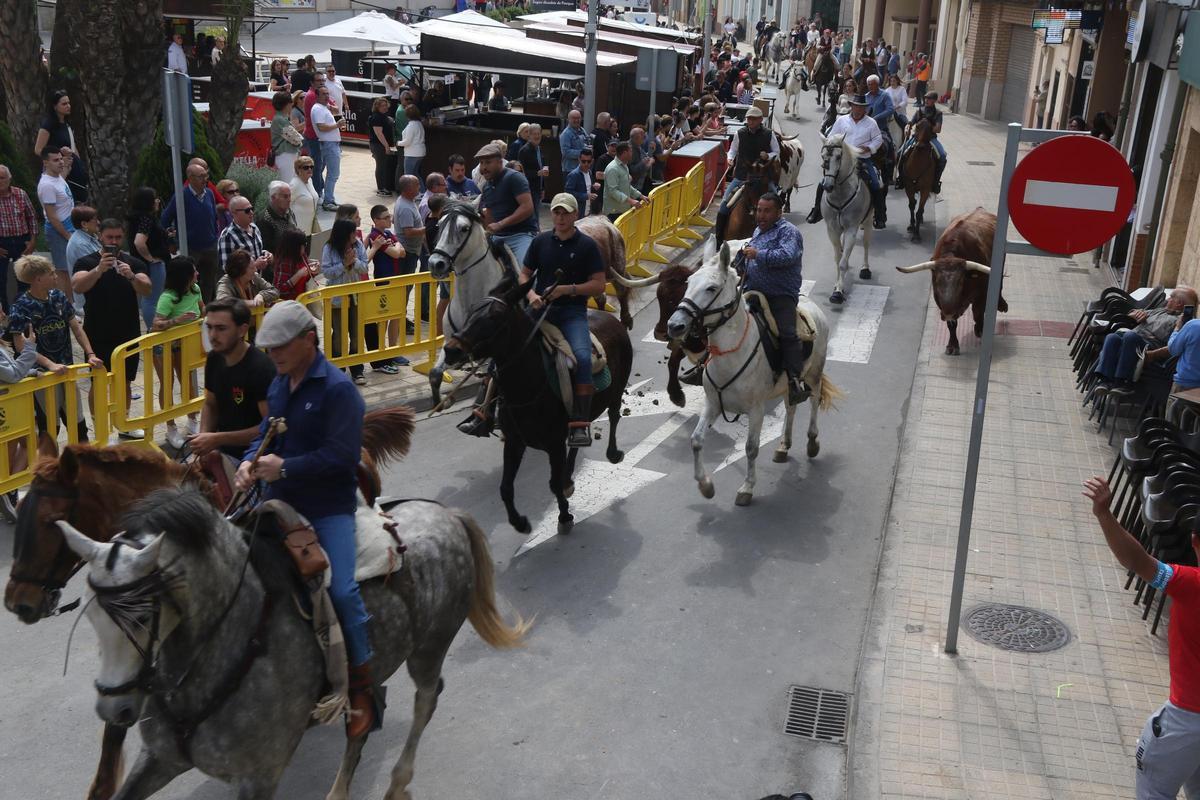 El encierro campero de caballos y ganado de Capota ha protagonizada la jornada matutina.