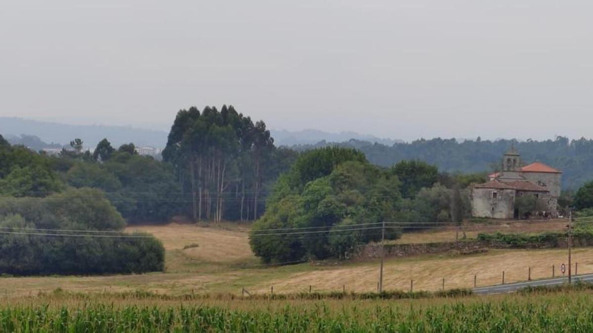Vista da igrexa coa carballeira.