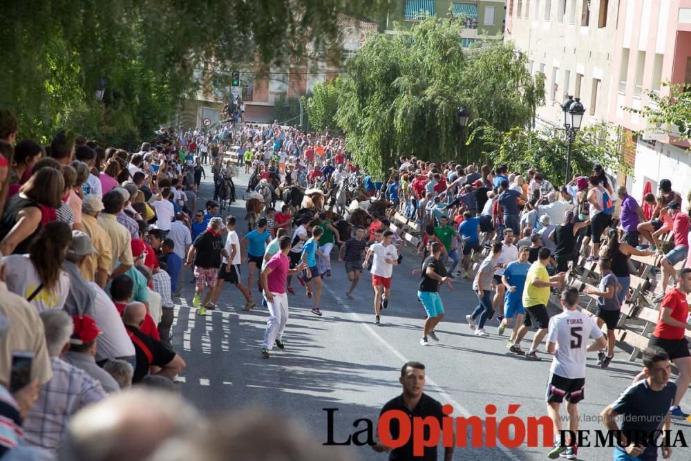 Primer encierro Fiestas de Moratalla