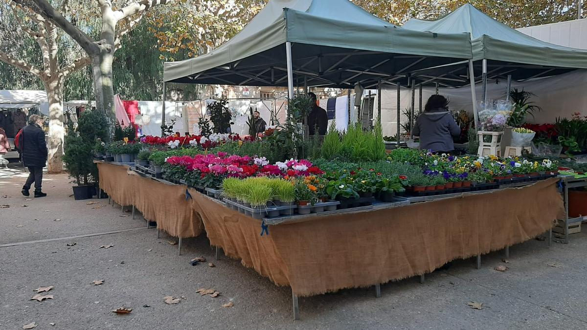 Una imatge recent del mercat de Cassà de la Selva.