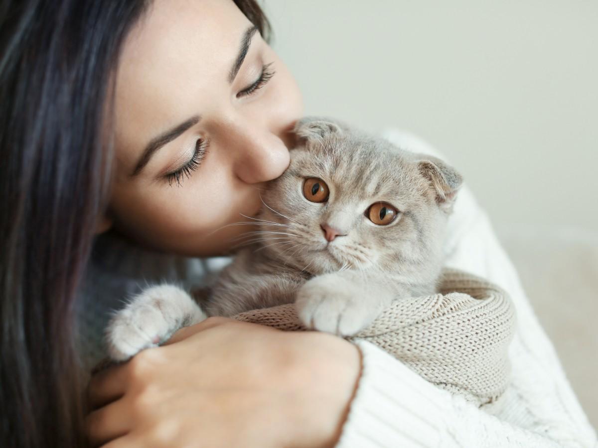 Descubren los cinco tipos de relación entre gatos y dueños: ¿cuál es la tuya?