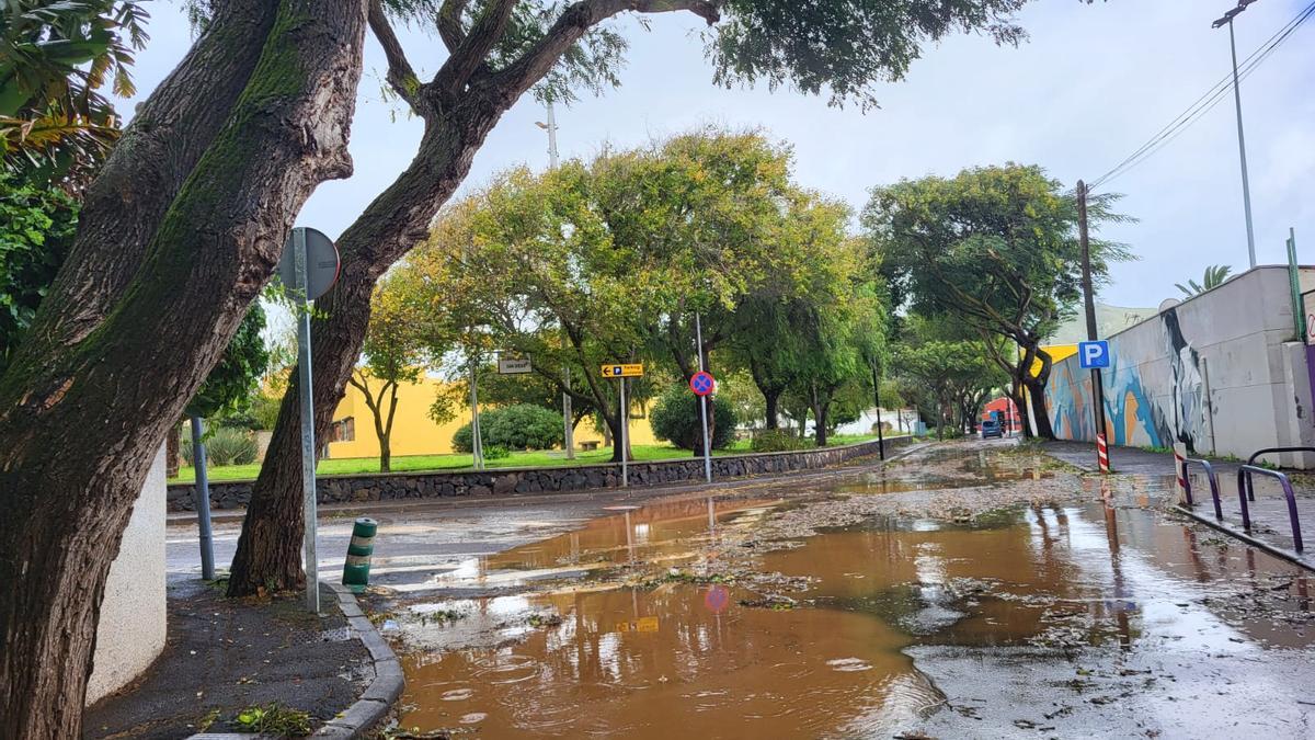 El camino Fuente Cañizares, en La Laguna.