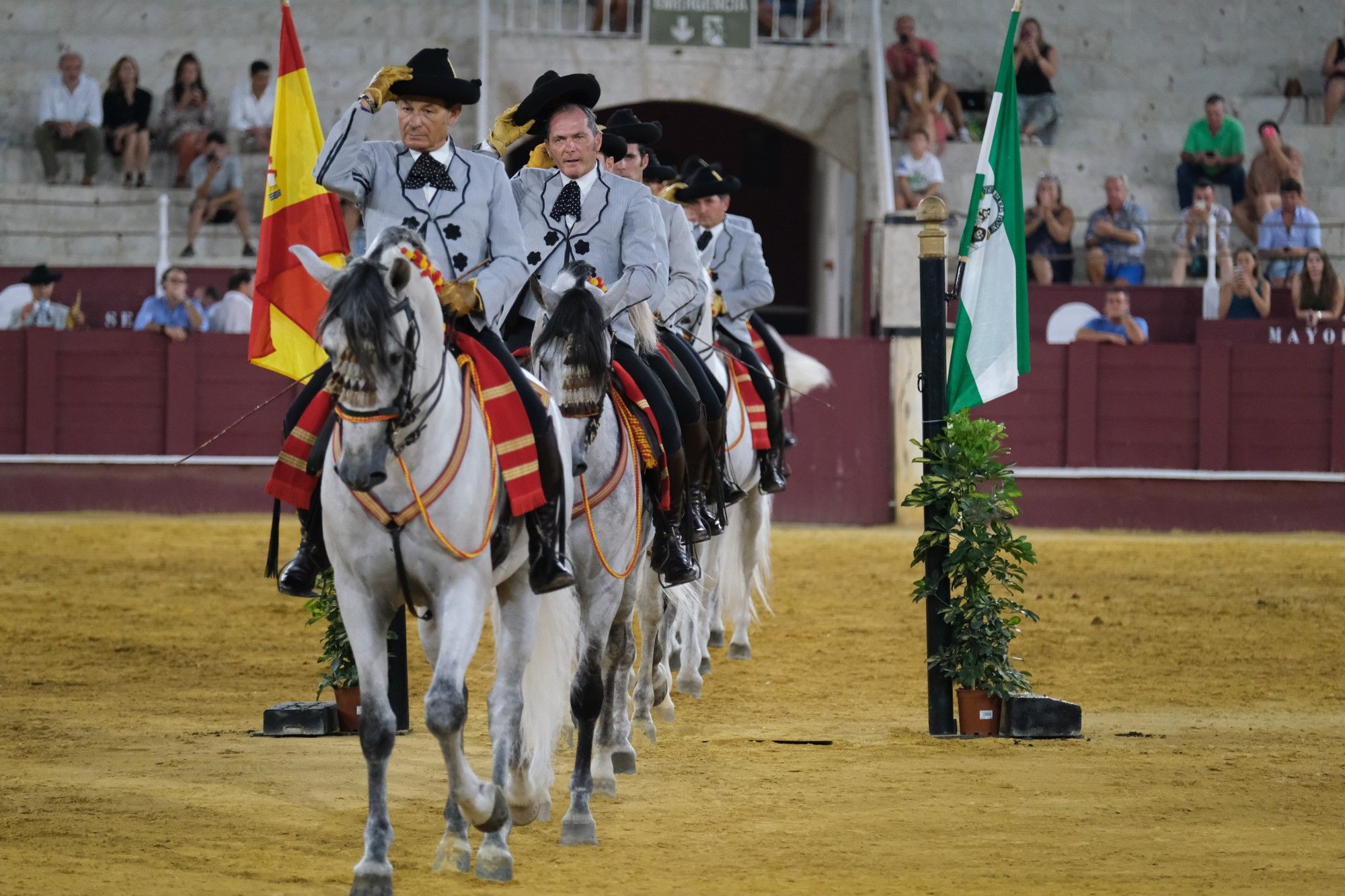 Los caballos andaluces bailan sobre el albero de La Malagueta