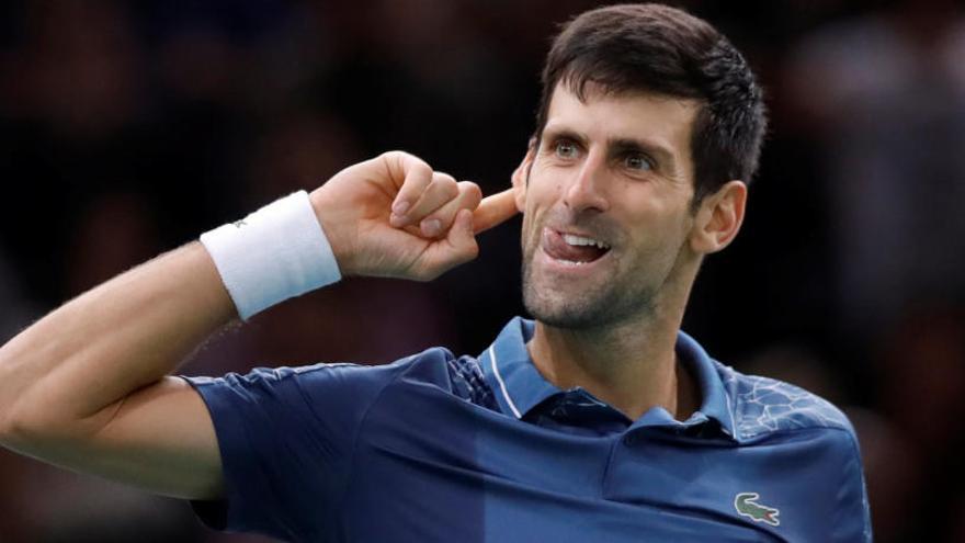 Djokovic jugará la final del Masters de París