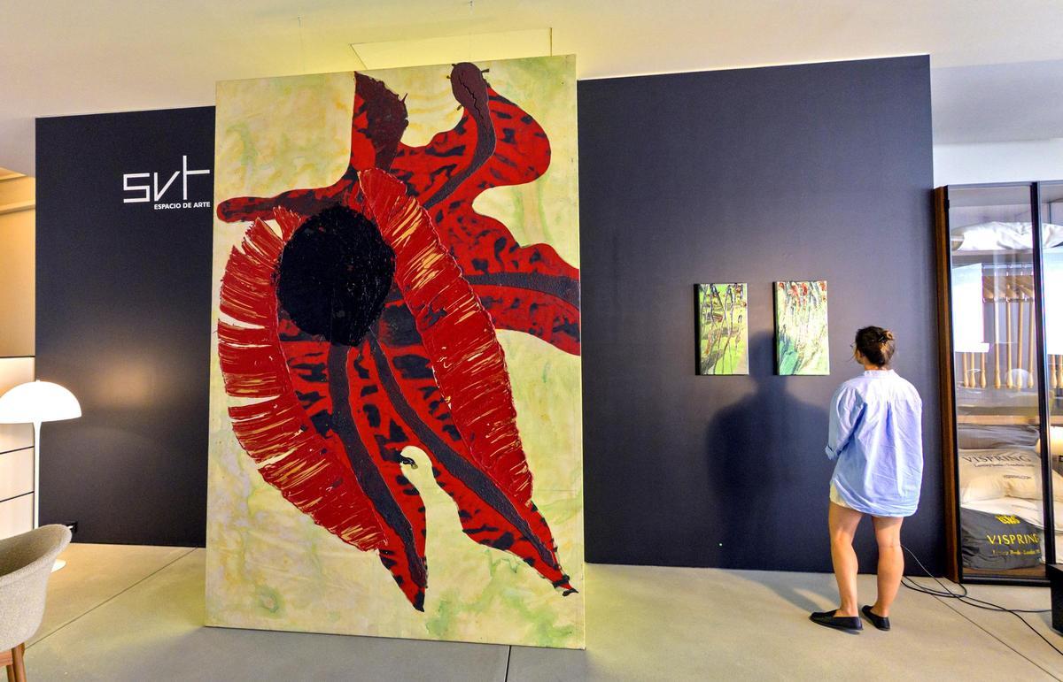 Vista de la exposición de Darío Basso en Espazo Sirvent.