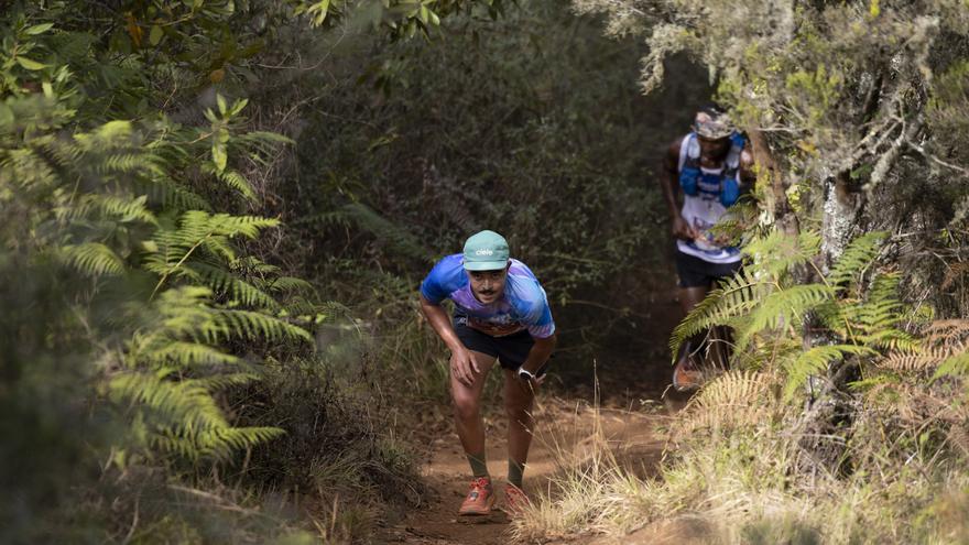 Carrera de montaña Aguas de Teror Desafío de los Picos 2023