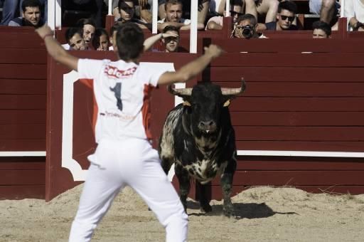 Concurso de cortes en la Plaza de Toros de Benaven