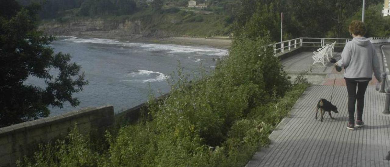 Una vecina pasea frente al &quot;argayu de Colón&quot;, donde se puede ver la maleza que se asoma sobre la fachada marítima.