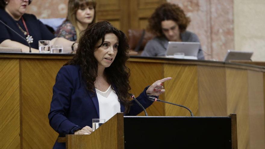 Rocío Ruiz, consejera de Igualdad, en el Parlamento.