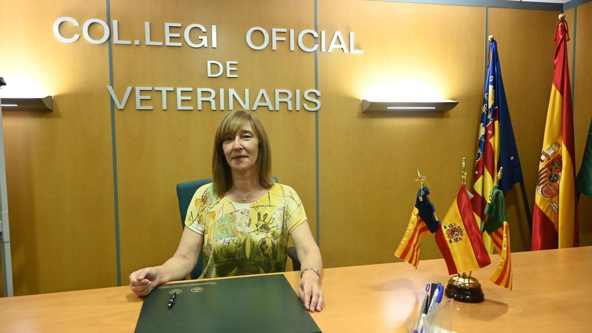 Presidenta del colegio de veterinarios de Castellón, Natalia Gil