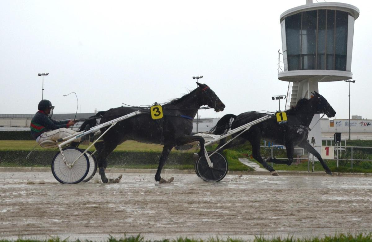 Green de Larre (1), con Mateu Riera, por delante de Foudre Dairpet (3) en el ‘Ciutat de Palma’