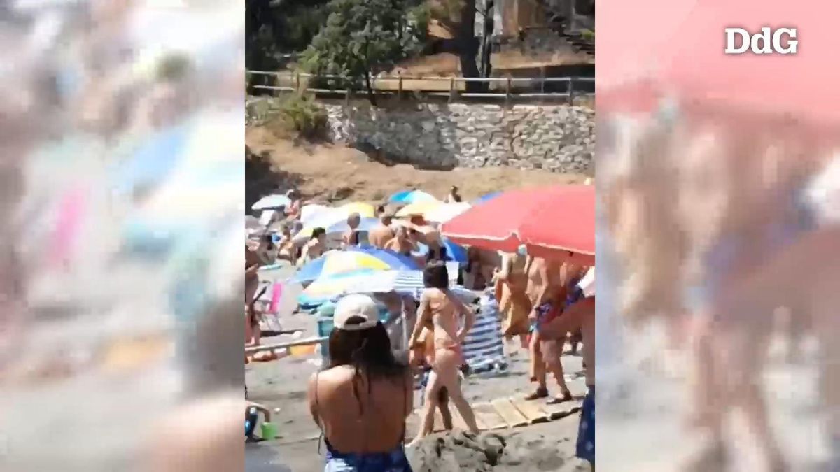 Vídeo | Un senglar es remulla a la platja de la Farella, a Llançà