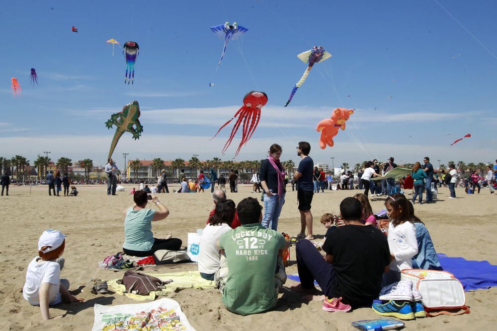 Festival del Viento 2016 en la Malva-rosa