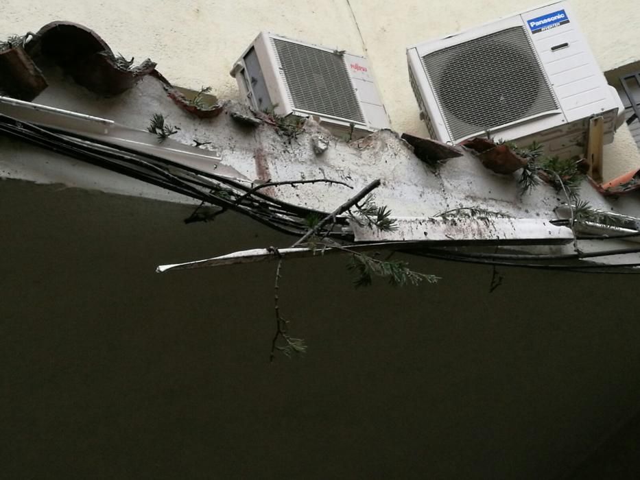 La pluja tomba un gran arbre al barri de la Font