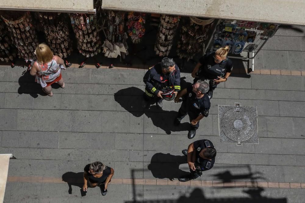 El perro llevaba todo el día al sol en un balcón