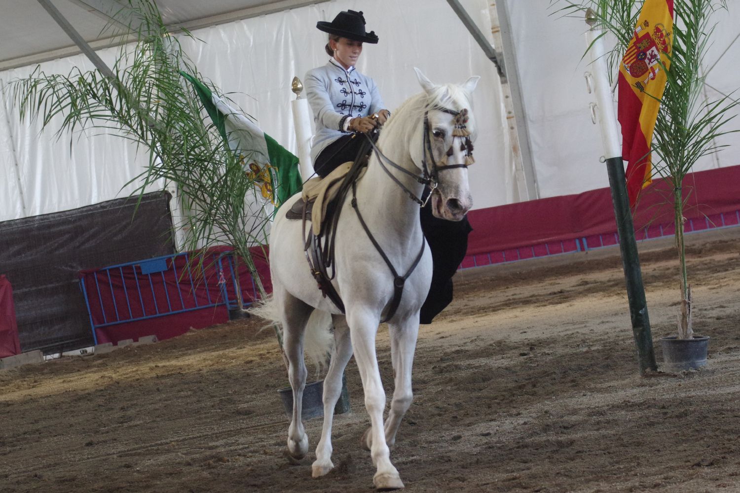 Feria de Málaga 2023 I El baile a caballo en el Centro de Exhibición Ecuestre del Real