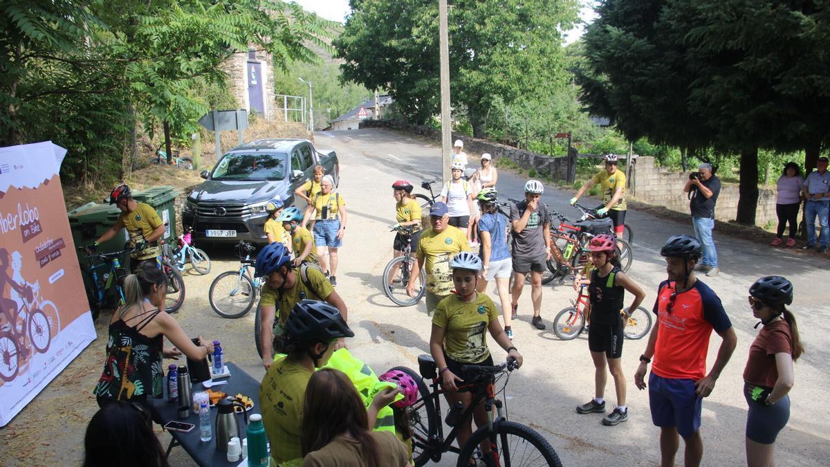 Un gran número de ciclistas participan en una ruta organizada por Iberlobo Bike.