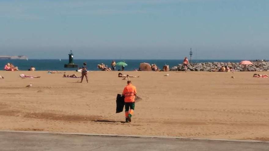 Uno de los operarios de limpieza, ayer, rastreando la playa de Poniente.