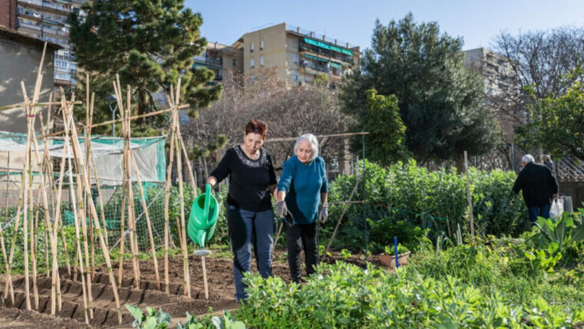 Huertos urbanos de Barcelona