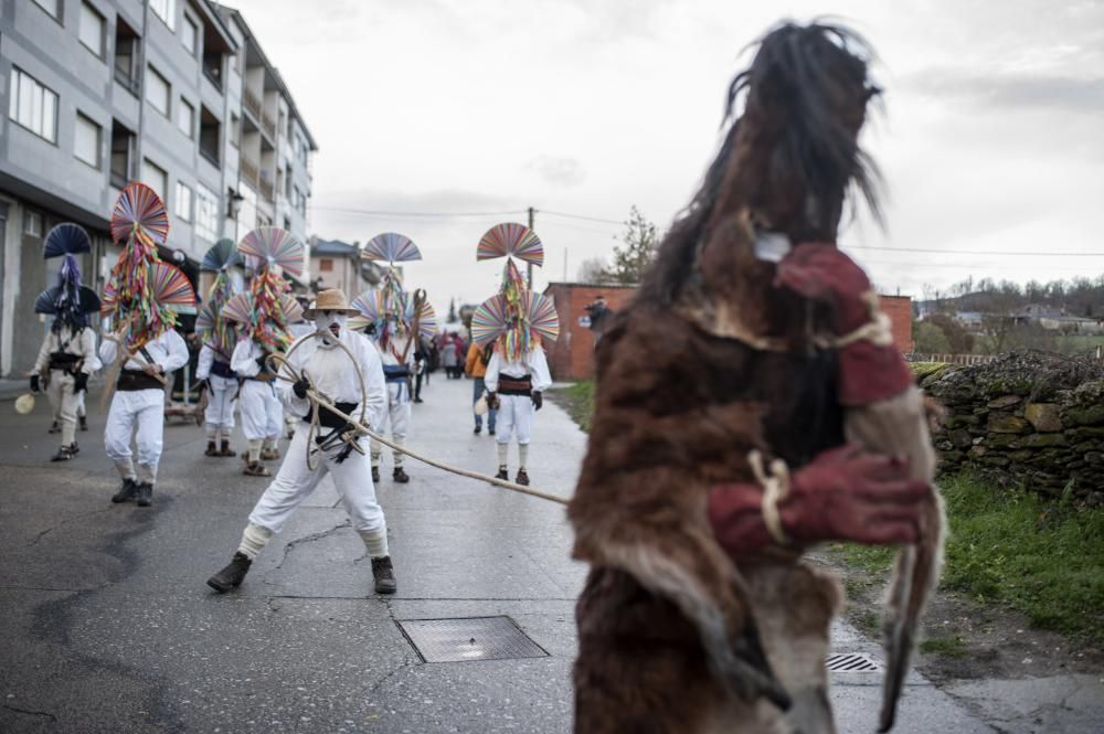 Viana reunió ayer a 39 grupos de carnavales ancestrales y foliones de España y Portugal que hoy repiten "mascarada" en Vilariño