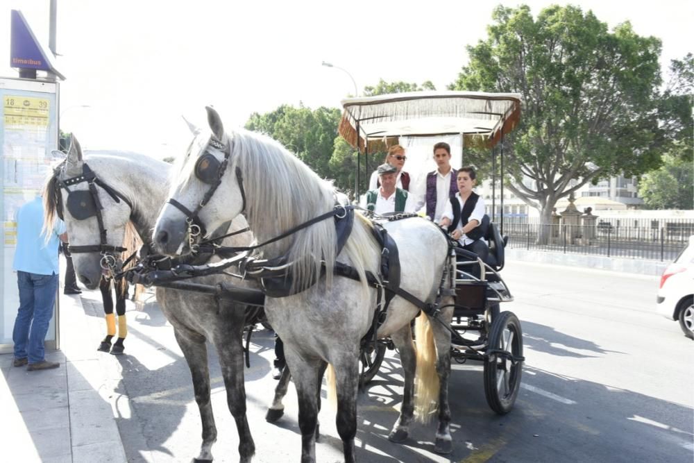 Ruta en carro al corazón de la Huerta