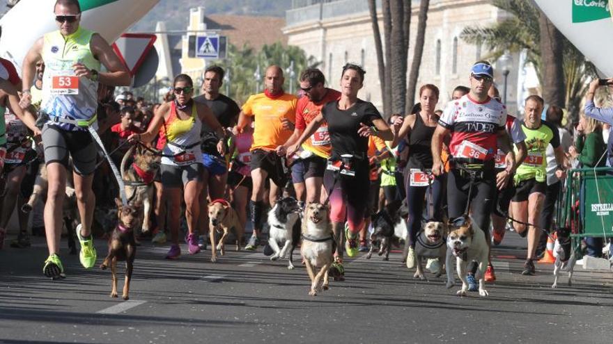 El primer CaniRun de Caravaca, el 24 de febrero