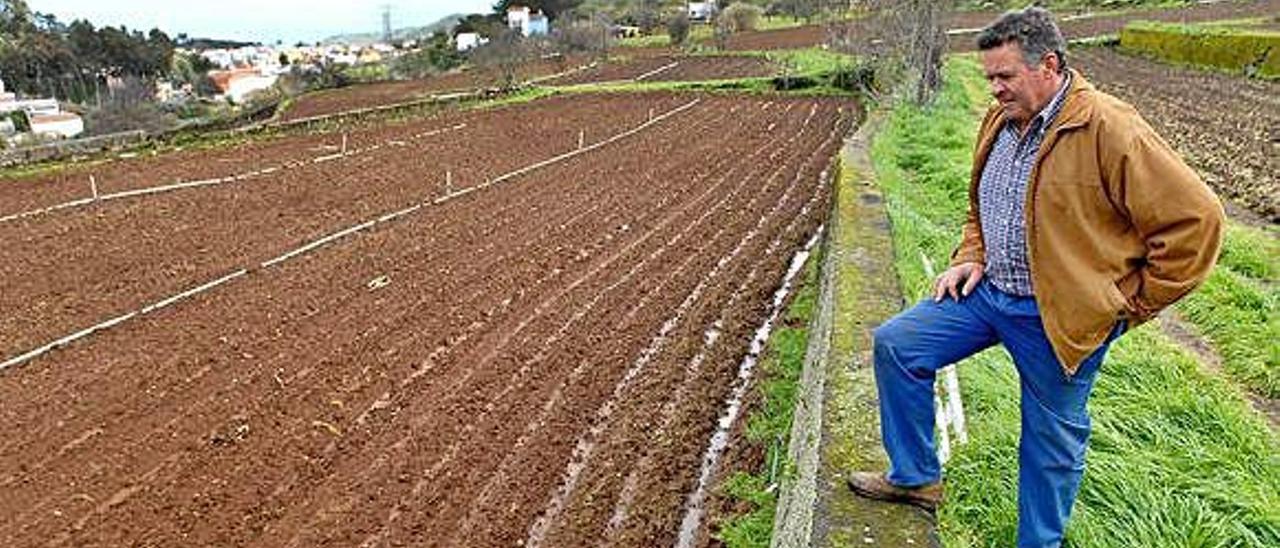 Un agricultor ante sus tierras de cultivo en las medianías de Gran Canaria.