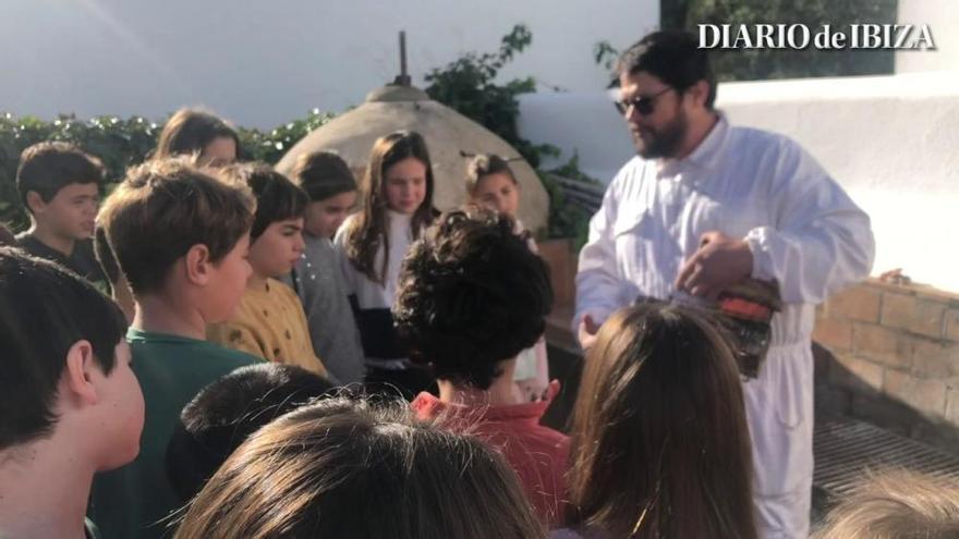 Apicultura tradicional para escolares en el Camp de sa Cala