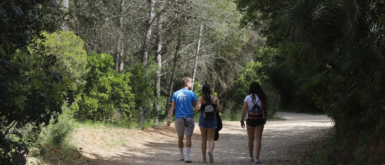 Senderistes caminant per una de les vies de la Murta