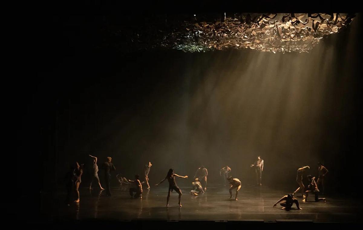 El Club d’Espectadors de Manresa assisteix a la representació de «Jungle» al Mercat de les Flors | UMANRESA