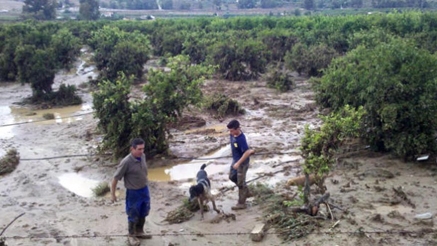 Agricultores examinan los daños en los cultivos tras el desbordamiento del Guadalhorce, a finales del pasado mes de septiembre.