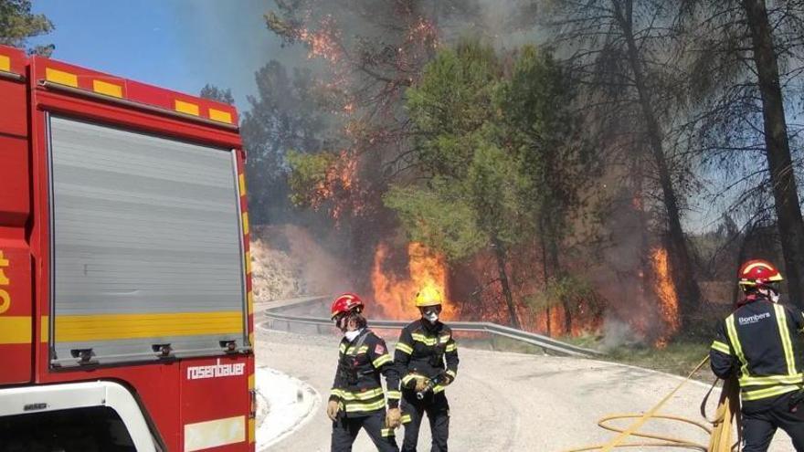 Las llamas arrasan 2.000 metros del Barranc del Sofre