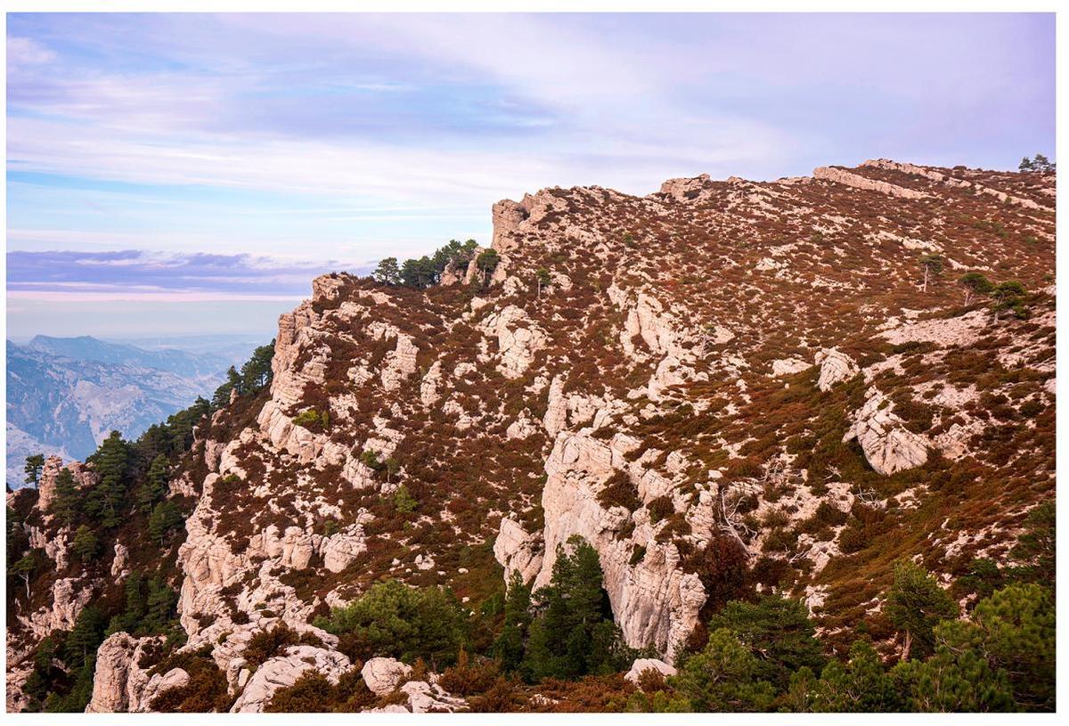 Panoràmica del massís del Port, on s'ha descobert un nou endemisme.