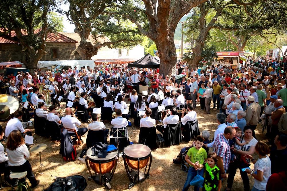 Procesión de los Milagros de Requián