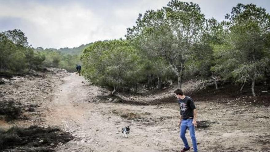 Los cazadores no matan búhos reales