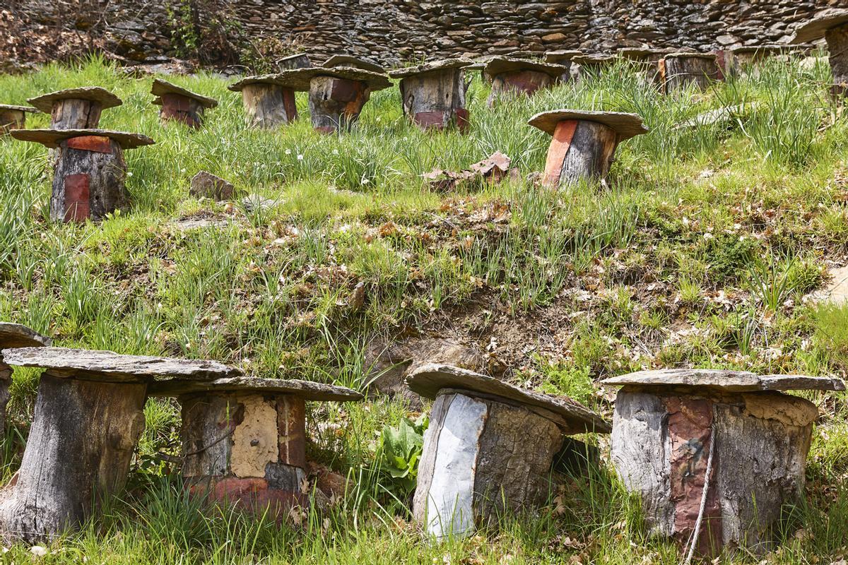 Troncos de árboles colmenar colmenar en La Hiruela, Madrid. Españ
