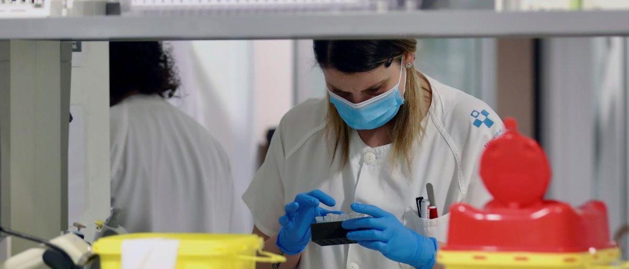 Varios sanitarios trabajan en la cabina de seguridad de un laboratorio de virología